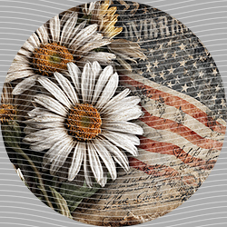 USA-MG 3924